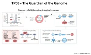 Screenshot 2026 02 12 105214