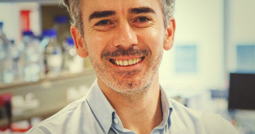 Zsolt Sebestyen