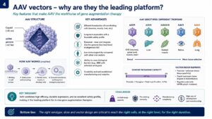 Figure 1 Slide using the lecture presenting the main advantages of AAVs for gene therapy.