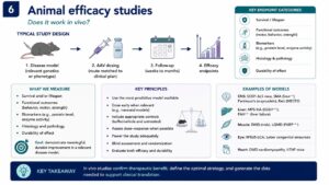 Figure 3 Why are animals efficacy used? Slide using the lecture to explain the importance of animal testing.